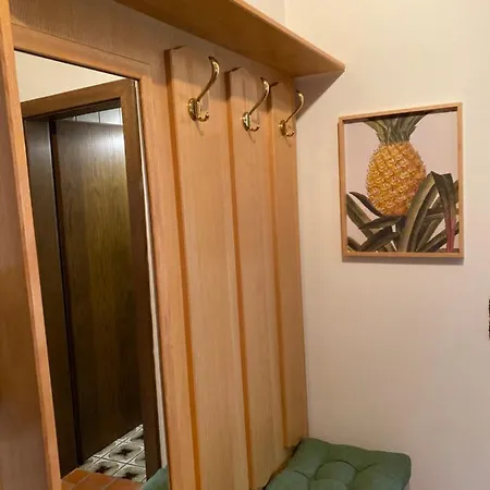 Ananas I Zentral & Seenah *