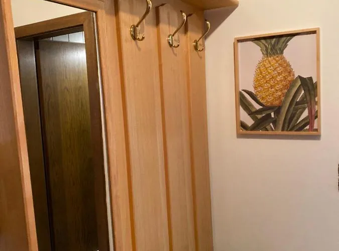 Ananas I Zentral & Seenah *